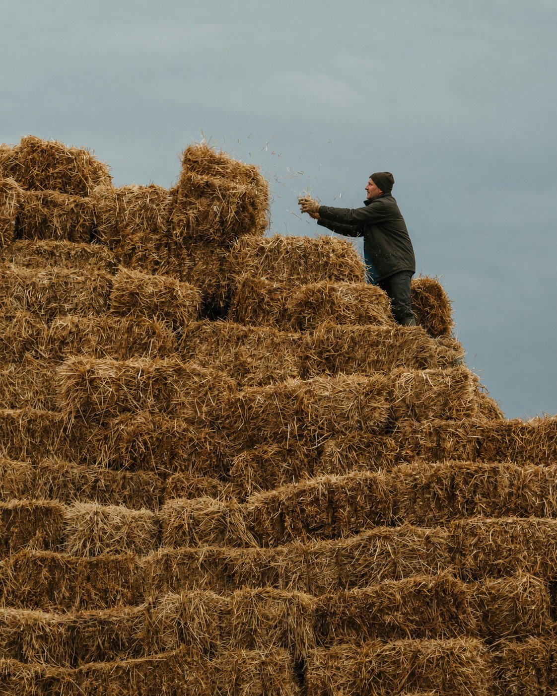Agricultural workers lifting and handling feed sacks on a Cumbria farm